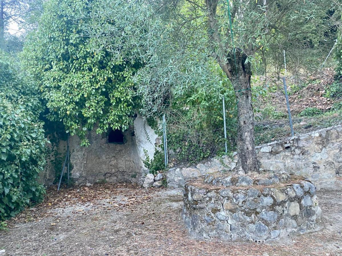 Stay Wild En Las Casitas De Huerta Arriba Benamahoma Eksteriør billede